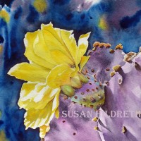 Opuntia violacea, purple prickly pear