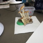 Pauline Savage used floral pin holders. Potter 05