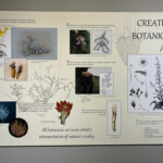 Overview of botanical art