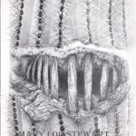 Saguaro